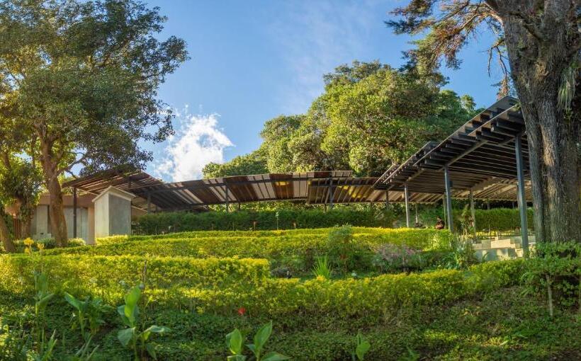 فندق Casa 1800 Cerro Verde