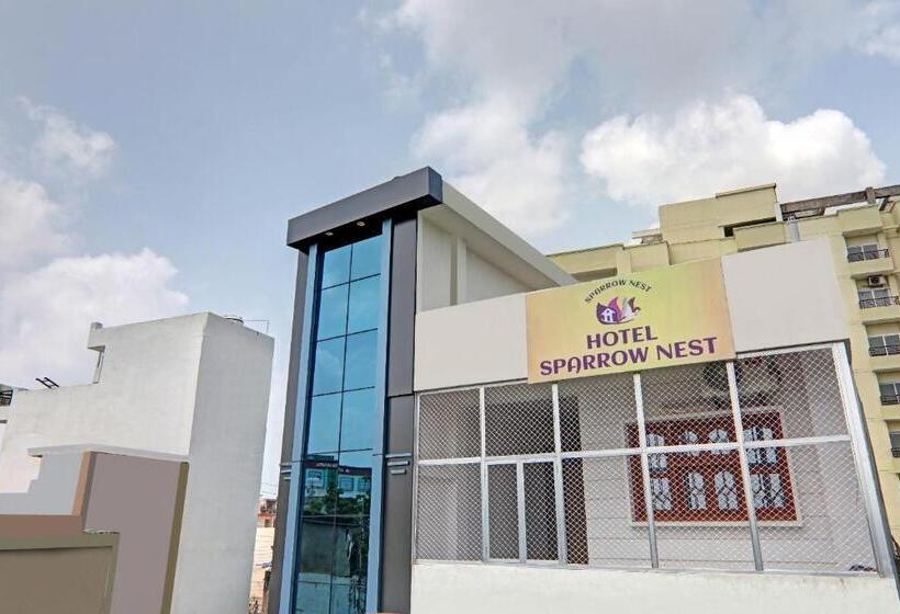 فندق O Sparrow Nest