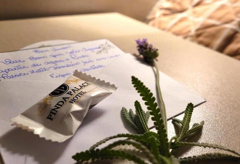 Отель Pinda Palace