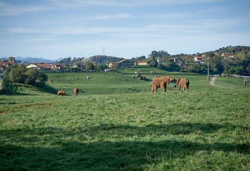 ホテル Posada Naturae