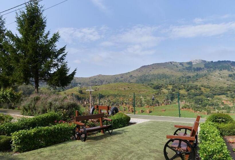 ホテル Posada Naturae