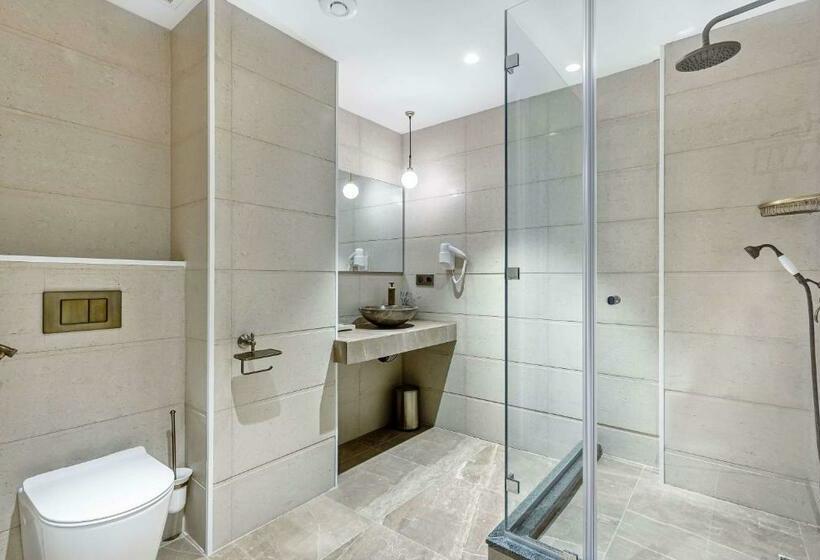 هتل Ramada By Wyndham Tbilisi Old City