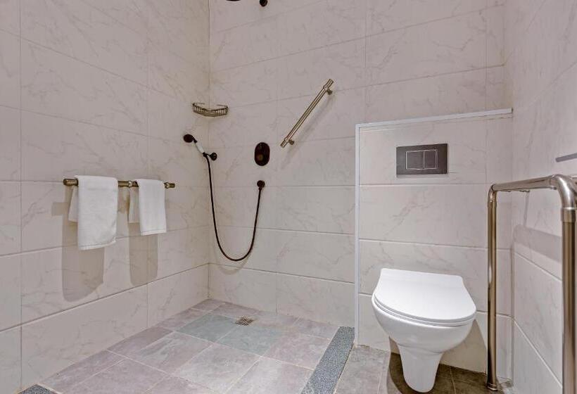 هتل Ramada By Wyndham Tbilisi Old City