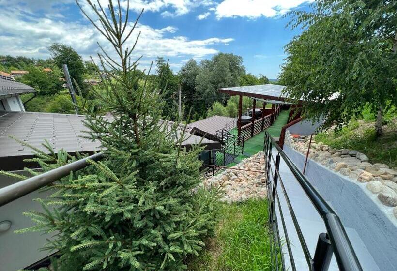 Отель Vila Swe Sar