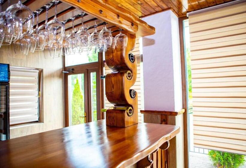 Отель Vila Swe Sar