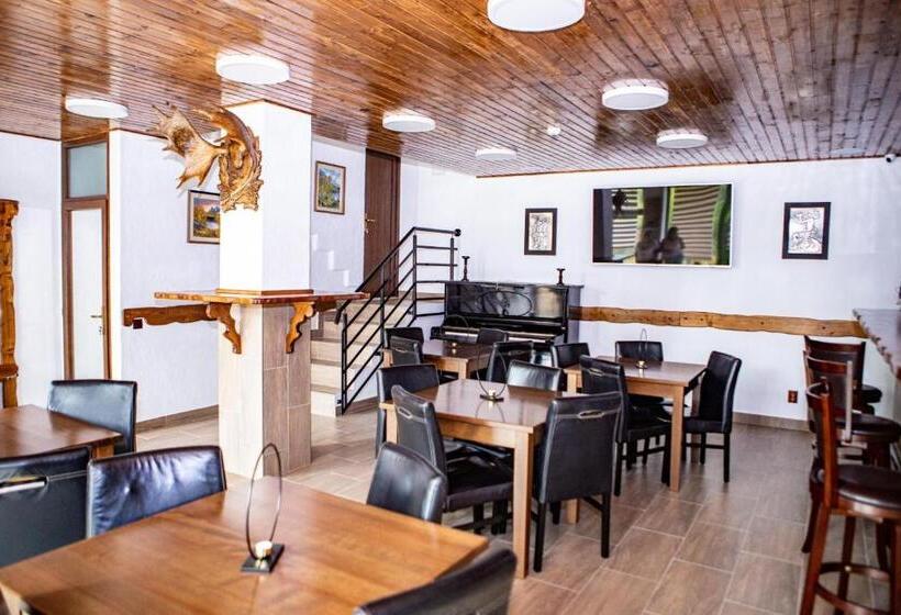 Отель Vila Swe Sar