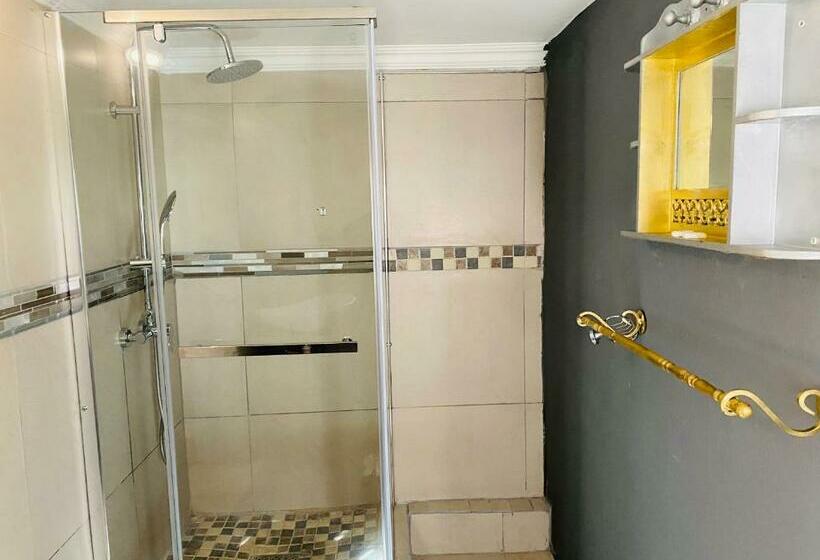 פנסיון Del Albert