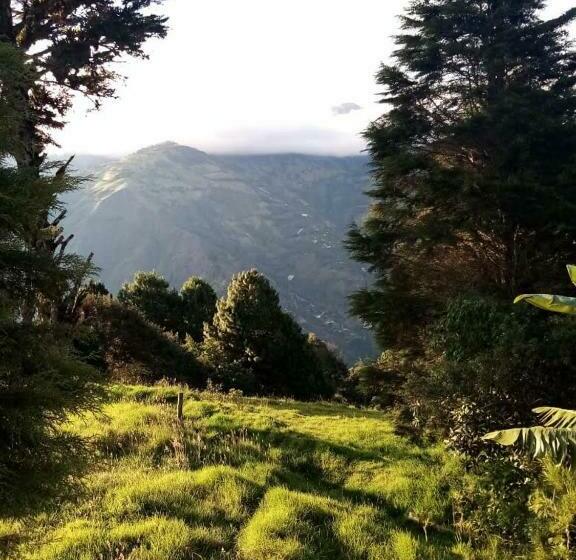 Пансион La Estancia De Runtún Km 7