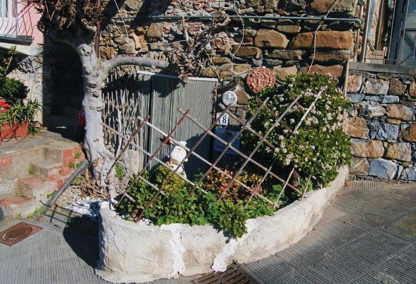 پانسیون Loft Rustico