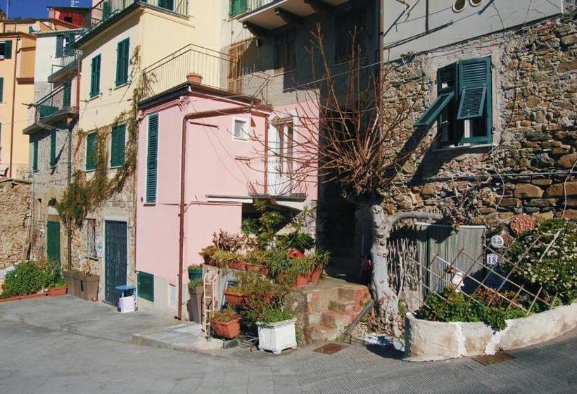 پانسیون Loft Rustico