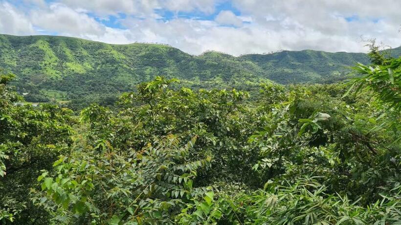 פנסיון Machan Villa