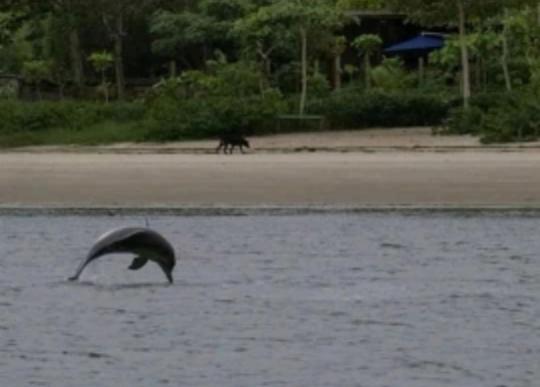 ペンション Pousada Do Beto Ilha Das Peças