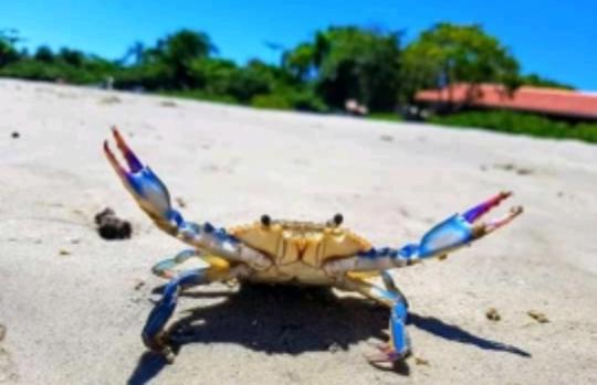 بنسيون Pousada Do Beto Ilha Das Peças