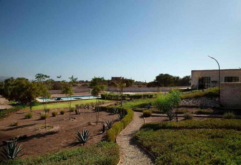 پانسیون Tassourt Lodge