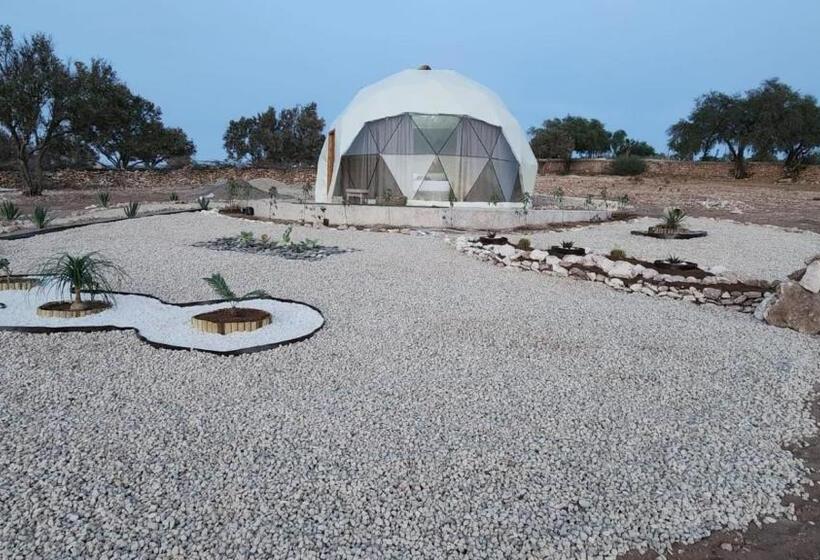 پانسیون Tassourt Lodge