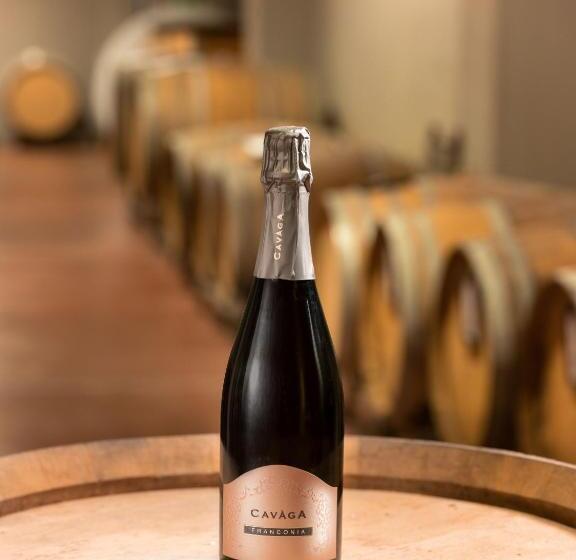 منتجع Agriturismo Podere Cavaga Lago D Iseo Agribio Winery