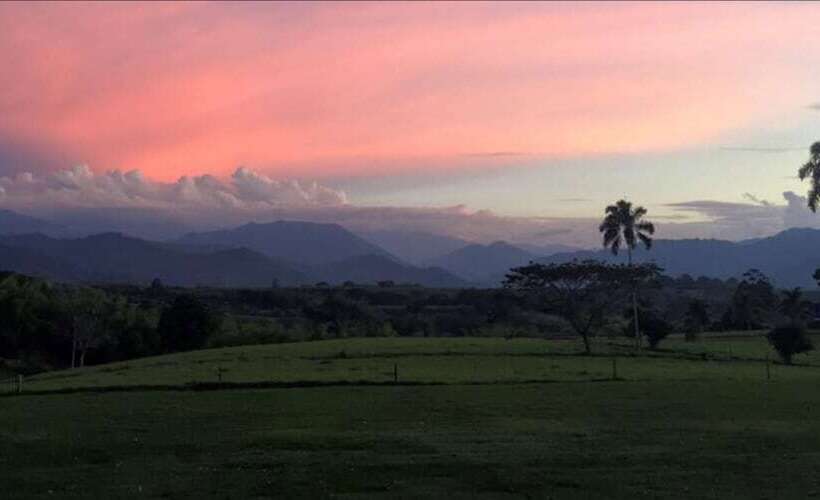 هتل Hacienda Bambusa