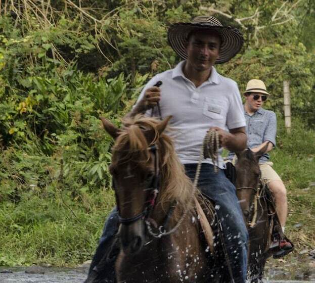 هتل Hacienda Bambusa