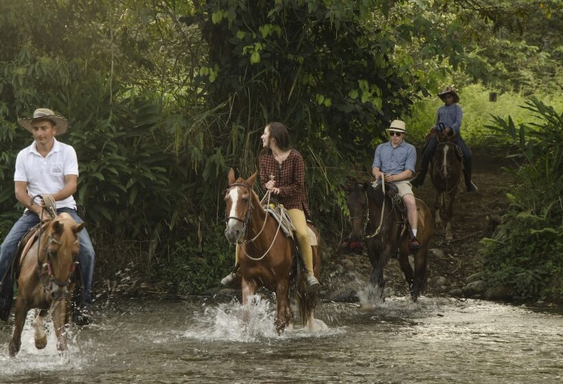 هتل Hacienda Bambusa