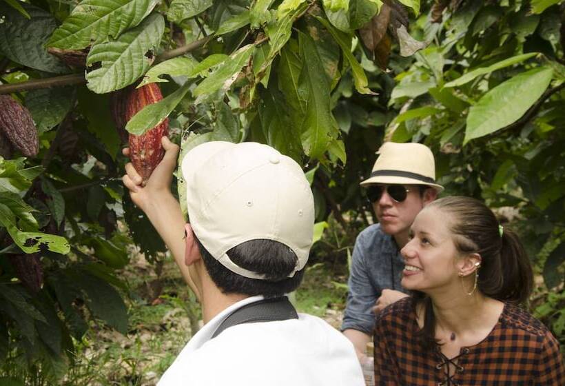 هتل Hacienda Bambusa