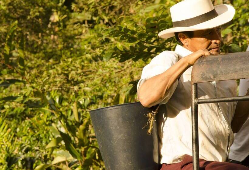 هتل Hacienda Bambusa