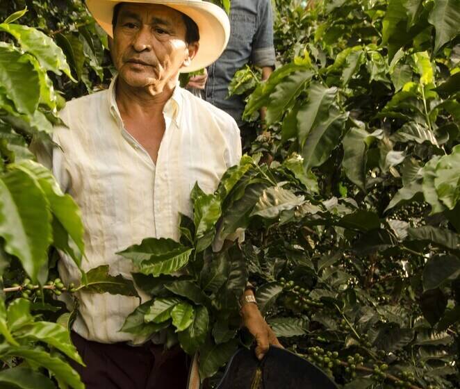 هتل Hacienda Bambusa