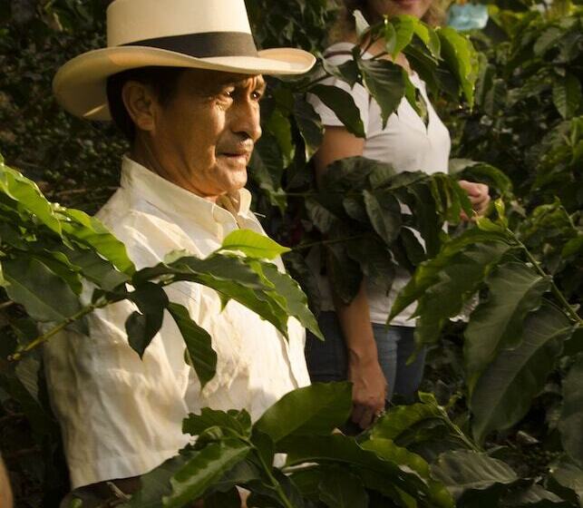 هتل Hacienda Bambusa