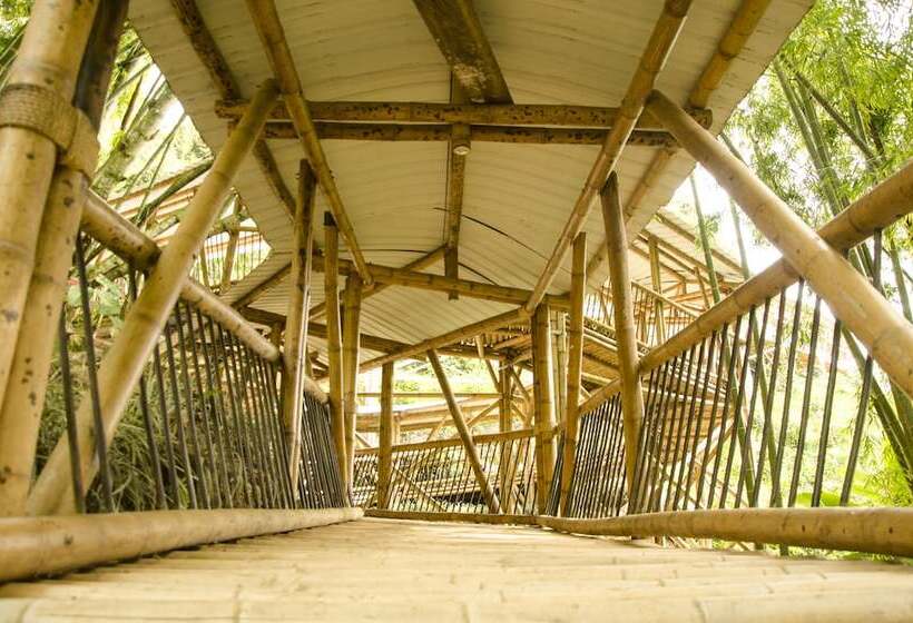 هتل Hacienda Bambusa