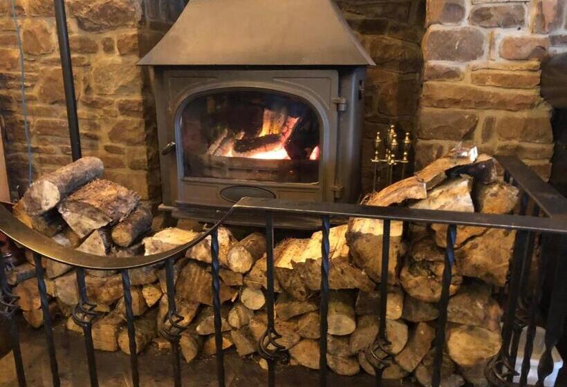 فندق صغير The Ancient Briton