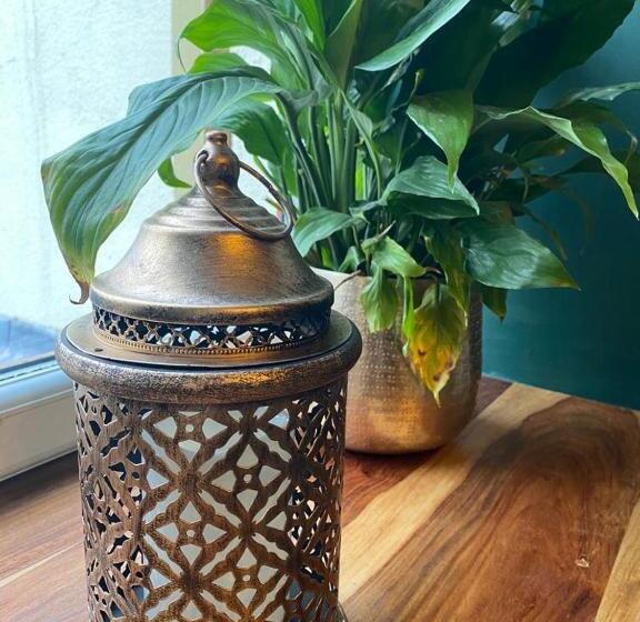 فندق صغير The Ancient Briton