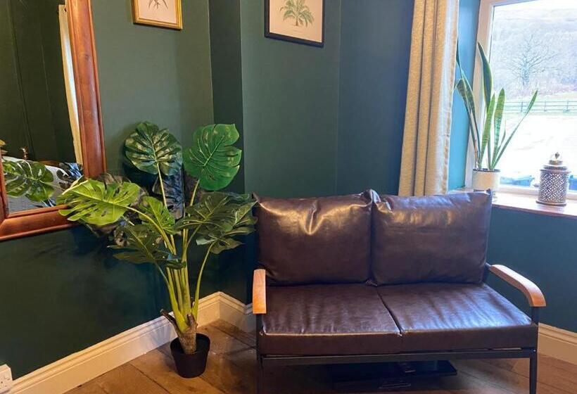 فندق صغير The Ancient Briton