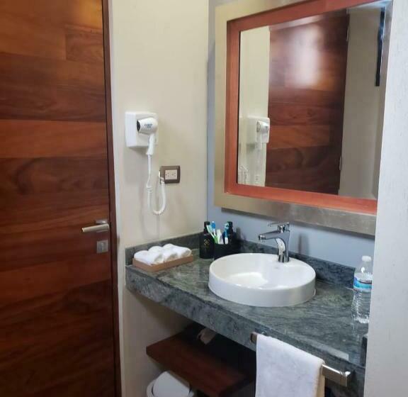 בית מלון כפרי Arista 1026