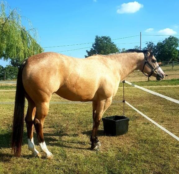 호텔 Azienda Agricola Cascina Monticone