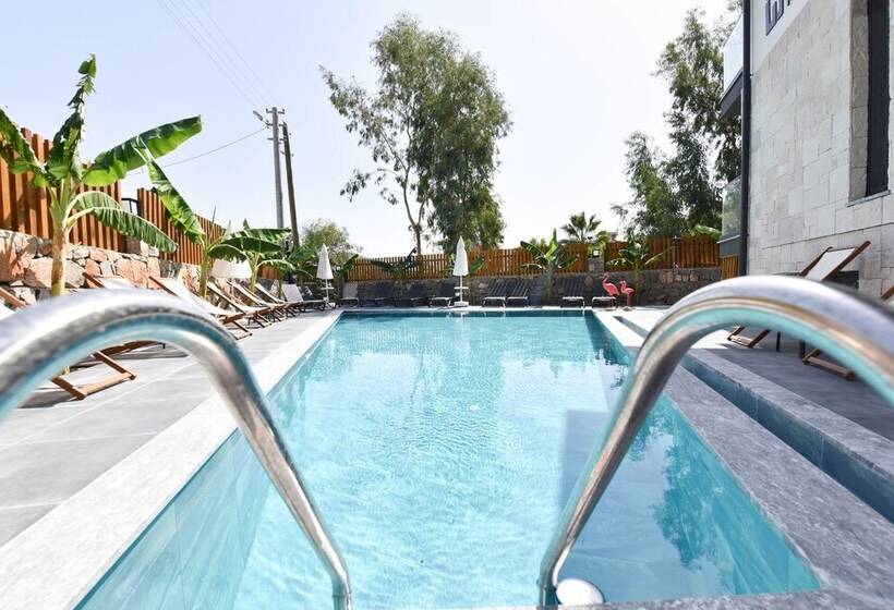 ホテル Casa Luxury