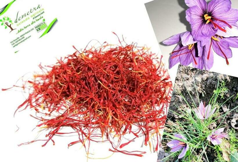 فندق Demetra Azienda Agricola