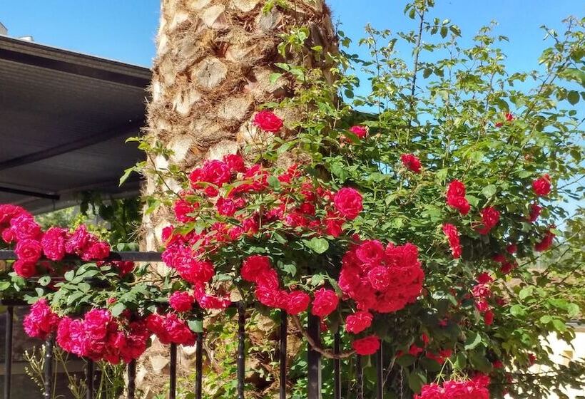 هتل Rural El Molino