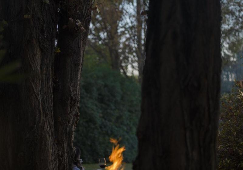 هتل Susana Balbo Winemaker´s House