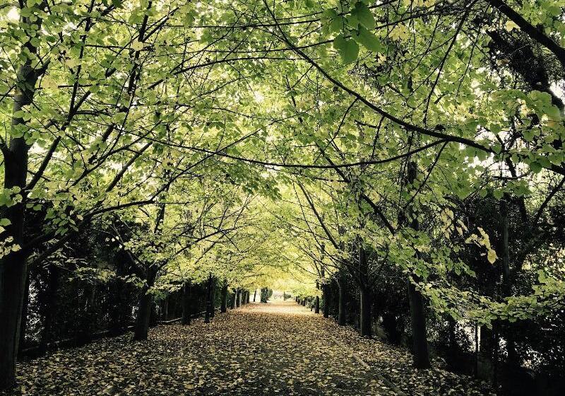 Отель Susana Balbo Winemaker´s House