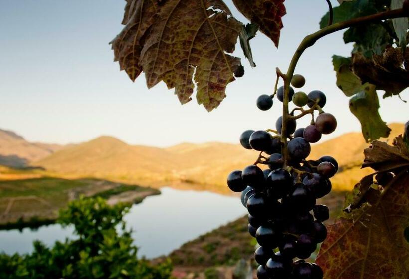 בית מלון כפרי Villa Auri