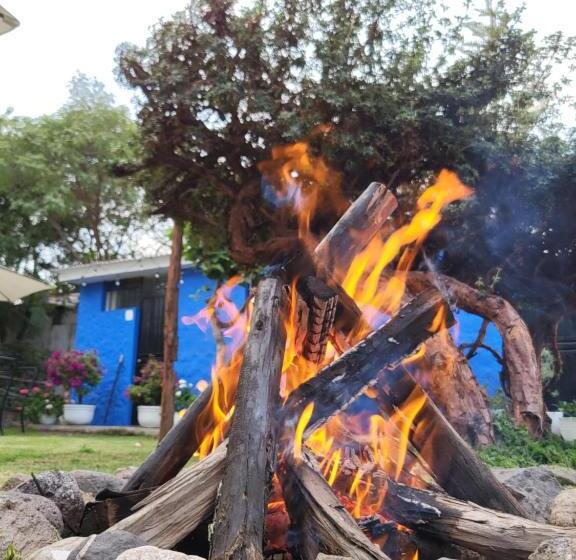 The First Real Bed & Breakfast Hiking Hotel  The Office  In Arequipa, Peru