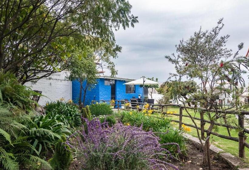 The First Real Bed & Breakfast Hiking Hotel  The Office  In Arequipa, Peru