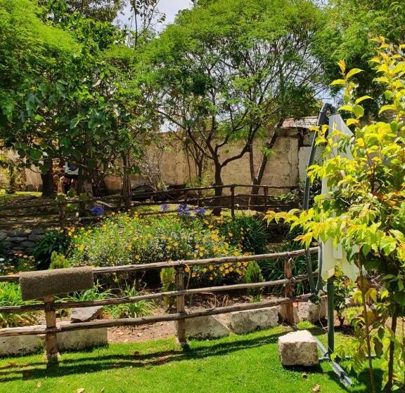 The First Real Bed & Breakfast Hiking Hotel  The Office  In Arequipa, Peru