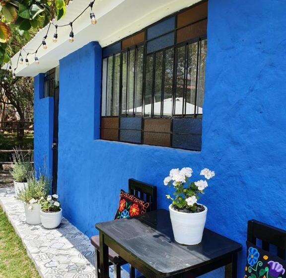 The First Real Bed & Breakfast Hiking Hotel  The Office  In Arequipa, Peru