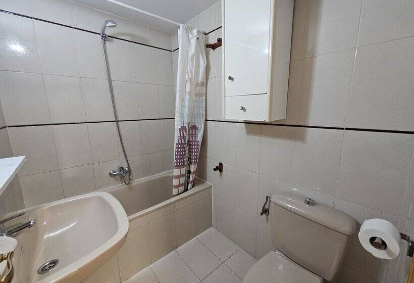 Apartamentos 3000 Formigal