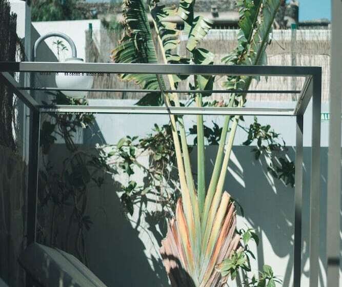 Apartamentos El Palmar