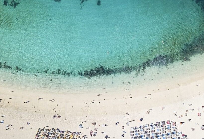 Apartamentos Gran Amadores