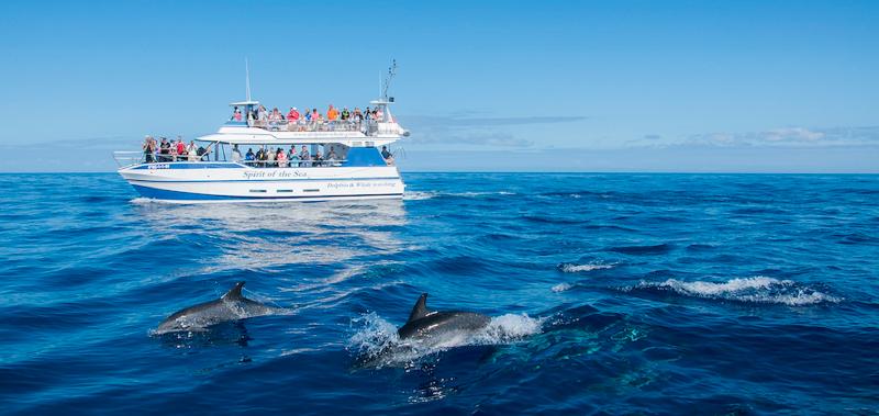 Apartamentos Gran Amadores