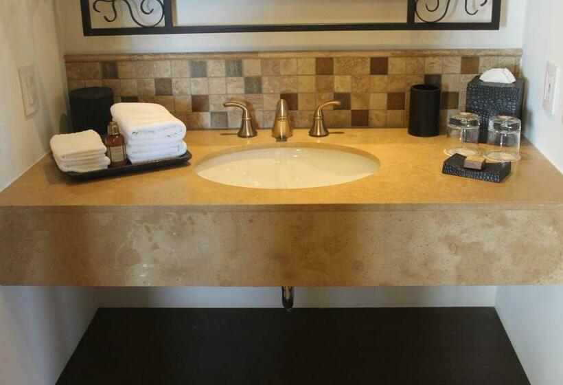 Grand Solmar Land's End Resort & Spa Cabo San Lucas