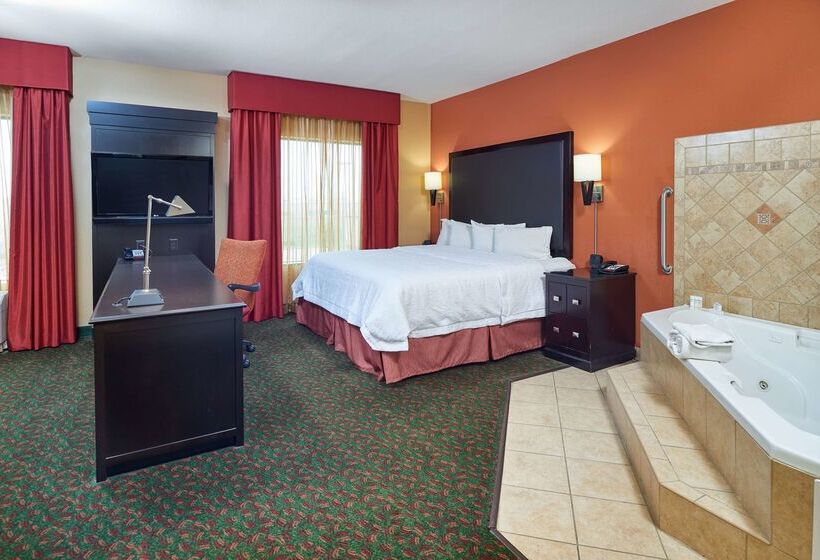 Hampton Inn & Suites Waco South