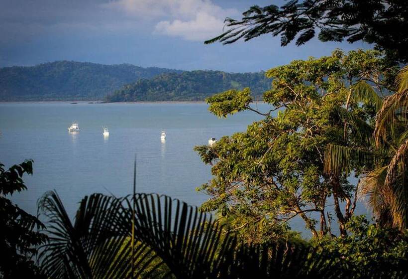 בית מלון כפרי Aguila De Osa Rainforest & Marine Adventure Lodge